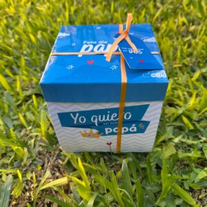 Caja explosiva Día del padre con taza de cerámica